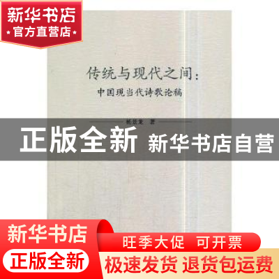 正版 传统与现代之间:中国现当代诗歌论稿 杨景龙著 中国社会科