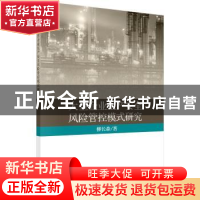 正版 大型企业生产安全风险管控模式研究 柳长森著 科学出版社 97