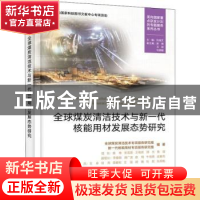 正版 全球煤炭清洁技术与新一代核能用材发展态势研究 全球煤炭清