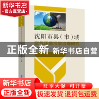 正版 沈阳市县(市)域空气环境污染治理研究 张丽君 企业管理出