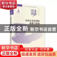 正版 中国文化市场的演进与发展 傅才武 经济科学出版社 97875218