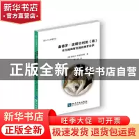 正版 桑德罗·波提切利的《春》:作为维纳斯花园的佛罗伦萨 布雷德