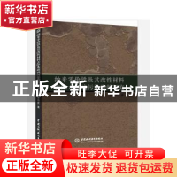 正版 纳米零价铁及其改性材料去除水环境污染物的研究 康海彦 中