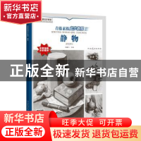 正版 青藤素描起步教程?静物 青藤人 河南美术出版社 97875401477