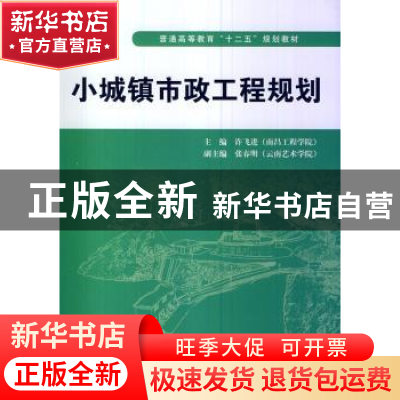 正版 小城镇市政工程规划 许飞进主编 中国水利水电出版社 978751