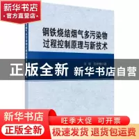 正版 钢铁烧结烟气多污染物过程控制原理与新技术 甘敏,范晓慧 科