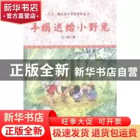 正版 手绢送给小野兔 王一梅著 湖南少年儿童出版社 978755620151
