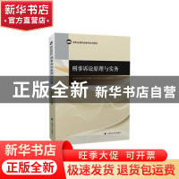 正版 刑事诉讼原理与实务 丁为群 编 中国政法大学出版社 978756