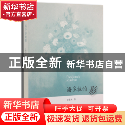 正版 潘多拉的影 丁建元著 生活·读书·新知三联书店 978710805040
