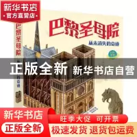 正版 巴黎圣母院 从未消失的奇迹 陈彦坤 电子工业出版社 9787121