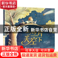 正版 在同一片天空下 [澳]罗伯特·韦肖,[澳]尼基·约翰斯顿 电子工