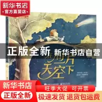 正版 在同一片天空下 [澳]罗伯特·韦肖,[澳]尼基·约翰斯顿 电子工