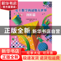 正版 爱上数学的谜题大世界:图形篇 日本数学谜题开发室 中国纺