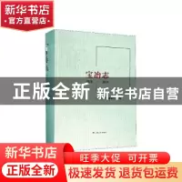 正版 宝冶志(1978-2018) 《宝冶志》编纂委员会 上海人民出版社