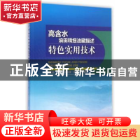 正版 高含水油田精细油藏描述特色实用技术 刘文岭等编著 石油工