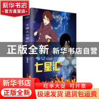 正版 七星之七星汇 王言涵 三辰影库音像出版社 9787830003647 书