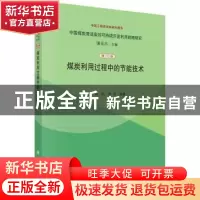 正版 煤炭利用过程中的节能技术 金涌,陈勇等编著 科学出版社 97