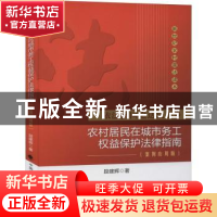 正版 依法治国之送法下乡:农村居民在城市务工权益保护法律指南: