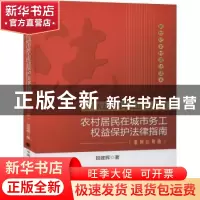 正版 依法治国之送法下乡:农村居民在城市务工权益保护法律指南: