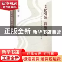 正版 文化引领 跨越发展:以浙江农业商贸职业学院为例 邵田田著