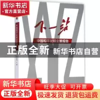 正版 下一站:中国和平发展全景报告 叶孝慎著 上海人民出版社 978
