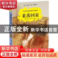 正版 莱茜回家 (英)埃里克·奈特著 译林出版社 9787544764261 书