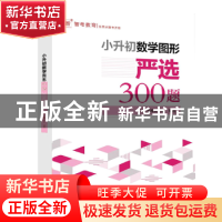 正版 小升初数学图形严选300题 智考教研中心 电子工业出版社 97
