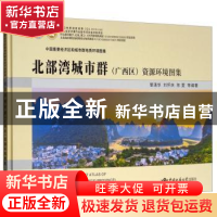 正版 中国重要经济区和城市群地质环境图集:北部湾城市群(广西区)