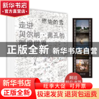 正版 燃烧的雪——走进贝尔纳·弗孔的图像世界 赵欣昕著 北京美术