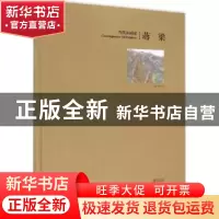 正版 当代油画家:蒋梁 蒋衍波主编 青岛出版社 9787555222491 书