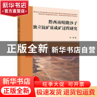 正版 黔西南晴隆沙子独立钪矿床成矿过程研究 孙军 电子工业出版
