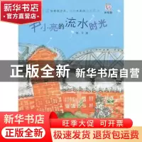 正版 尹小亮的流水时光 简平著 少年儿童出版社 9787532490721 书