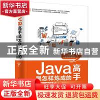 正版 Java高手是怎样炼成的:原理、方法与实践 高永强//卢晨 清