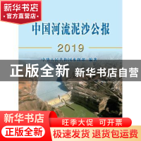 正版 中国河流泥沙公报(2019) 中华人名共和国水利部 中国水利水