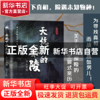 正版 天坑下的秦陵(黑衣帝国) 韩学龙著 广东旅游出版社 97875570