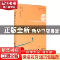 正版 夜鸭停止呼叫/青年作家创意写作书系 沈念 江苏凤凰文艺出版