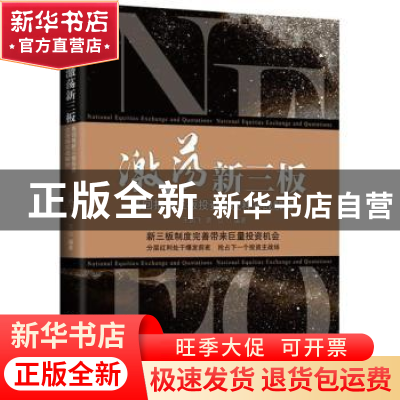 正版 激荡新三板:高回报新三板投资全流程实战解析 王鹏飞,黄页