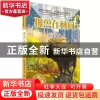 正版 孤兽在林间 沈石溪 湖南少年儿童出版社 9787556224852 书籍