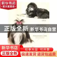 正版 浪漫彩铅系列:拿笔就画 色铅笔绘画从入门到精通:狗狗篇
