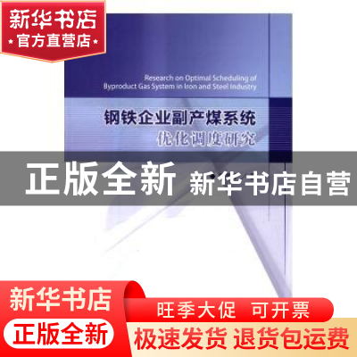 正版 钢铁企业副产煤系统优化调度研究 孔海宁 著 经济科学出版