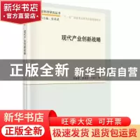 正版 现代产业创新战略 邓金堂,李进兵,王德平著 科学出版社 97