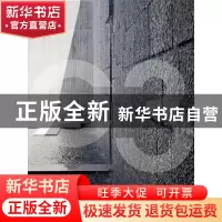 正版 建筑重现 编者:(丹麦)BIG建筑事务所|责编:张昕焱|译者:司炳