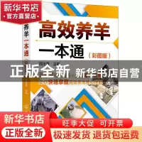 正版 高效养羊一本通(彩图版) 周玉香 化学工业出版社 9787122389