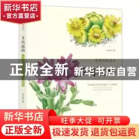 正版 浪漫彩铅系列:拿笔就画 色铅笔绘画从入门到精通:多肉植物