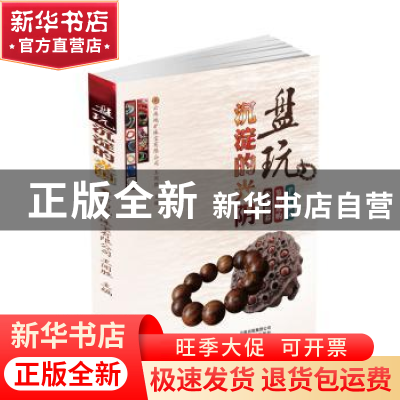正版 盘玩沉淀的光阴 王闻盛 云南科学技术出版社 9787541699993
