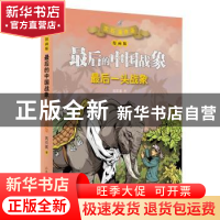 正版 最后的中国战象:最后一头战象 沈石溪 著 山东画报出版社 97