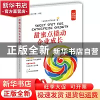 正版 甜蜜点撬动企业成长:大字版 轻松读大师项目部编 中国盲文