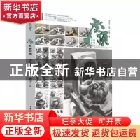正版 登顶-素描静物 刘峻宇,李家友 重庆出版社 9787229141431 书