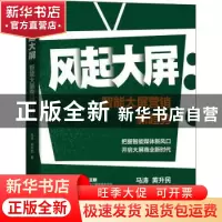 正版 风起大屏:智能大屏营销新趋势 马涛,黄升民著 机械工业出