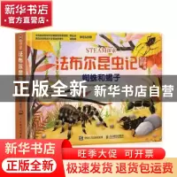 正版 STEAM探索 法布尔昆虫记互动立体书 蜘蛛和蝎子 浆果文化 人